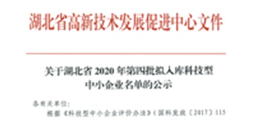 恭喜我司獲得武漢市“科技型中小企業(yè)”榮譽(yù)稱號！